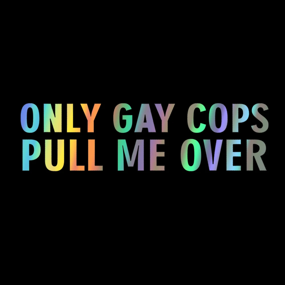 20x5.5cm ONLY GAY COPS PULL ME - Window Lock Bar reseña y precio