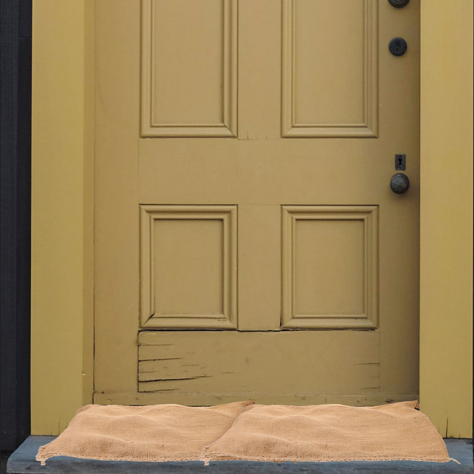 Absorbent Flood Prevention Wat - Flood Barrier Bag reseña y precio